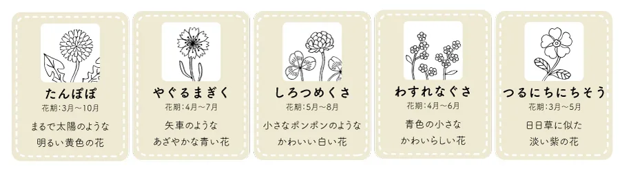 Re-食器 モチーフとなった５種類の花